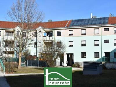 Terrassenwohnung mieten in 7000 Eisenstadt (Bild 1)