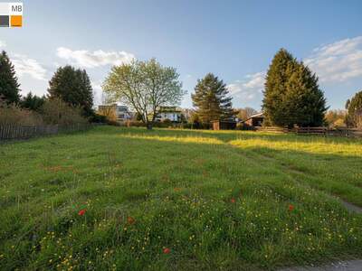 Grundstück kaufen in 3011 Irenental