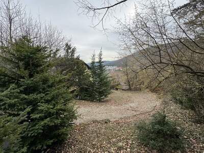 Haus kaufen in 2371 Hinterbrühl