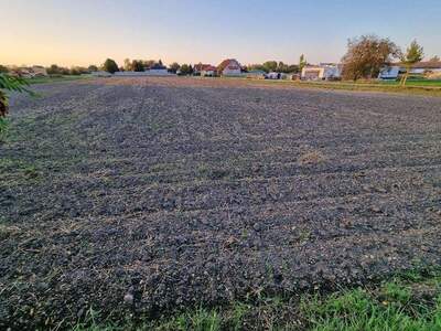 Grundstück kaufen in 7162 Tadten (Bild 2)