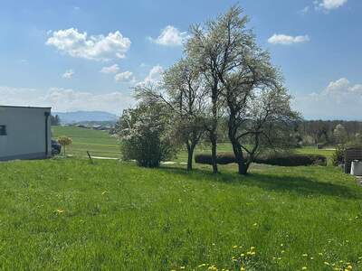 Grundstück kaufen in 5143 Feldkirchen (Bild 3)