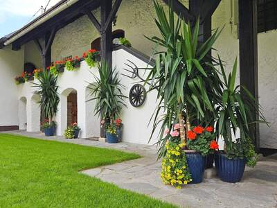 Haus kaufen in 9754 Steinfeld