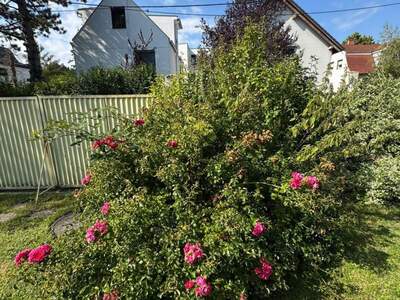 Grundstück kaufen in 1210 Wien (Bild 5)