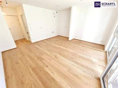 Terrassenwohnung mieten in 1230 Wien (Bild 2)