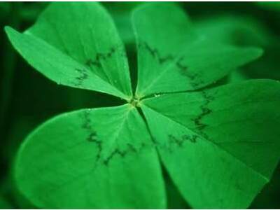 Grundstück kaufen in 3002 Purkersdorf