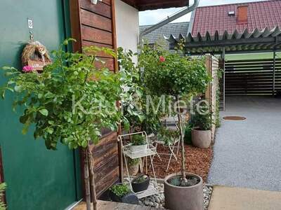Terrassenwohnung mieten in 8261 Sinabelkirchen (Bild 2)