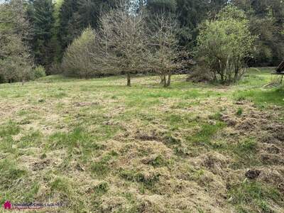 Grundstück kaufen in 5231 Schalchen