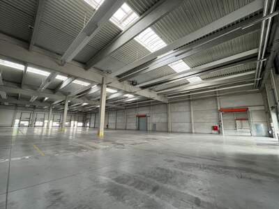 Gewerbeobjekt mieten in 4882 Oberwang (Bild 5)