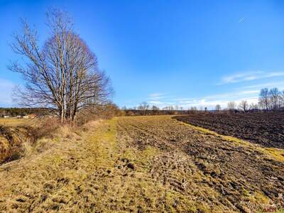 Gewerbeobjekt kaufen in 8561 Söding (Bild 3)