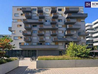 Terrassenwohnung kaufen in 1220 Wien (Bild 1)