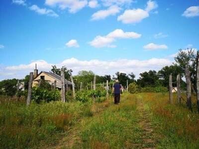 Haus kaufen in 7570 Barcs (Bild 2)
