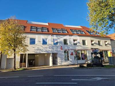 Anlageobjekt kaufen in 2514 Traiskirchen (Bild 2)