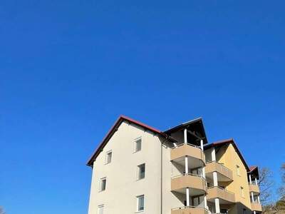 Wohnung mieten in 4483 Hargelsberg