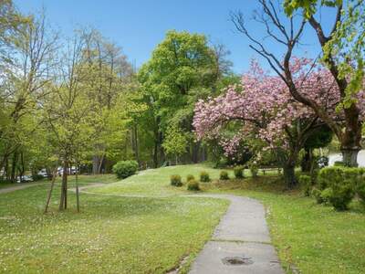 Wohnung mieten in 8047 Graz