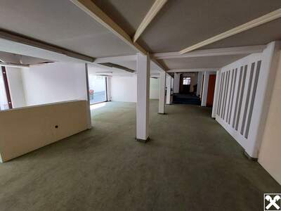 Gewerbeobjekt kaufen in 2410 Hainburg (Bild 4)