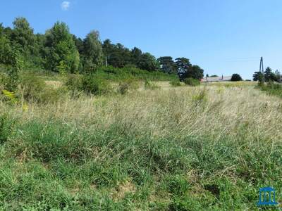 Grundstück kaufen in 2732 Höflein