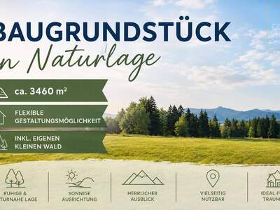 Grundstück kaufen in 8113 Sankt Oswald