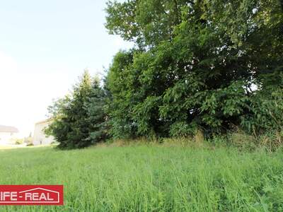 Grundstück kaufen in 4230 Pregarten