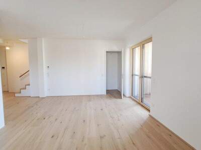 Terrassenwohnung kaufen in 7100 Neusiedl (Bild 3)