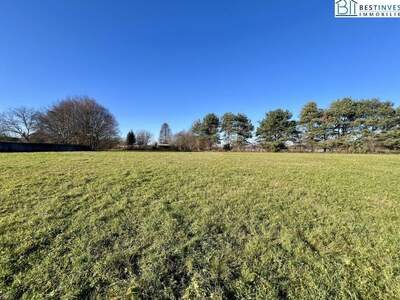 Grundstück kaufen in 7571 Rudersdorf (Bild 3)