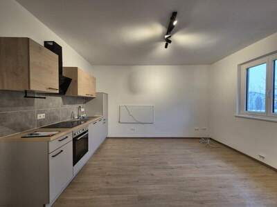 Wohnung mieten in 2630 Ternitz (Bild 4)