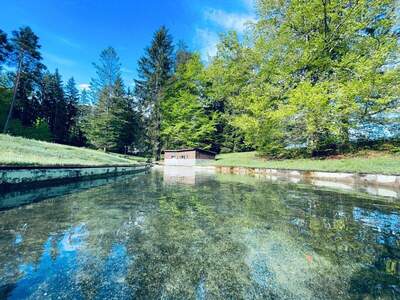 Haus kaufen in 9184 St. Jakob