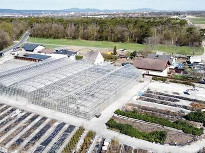 Gewerbeobjekt kaufen in 2700 Katzelsdorf