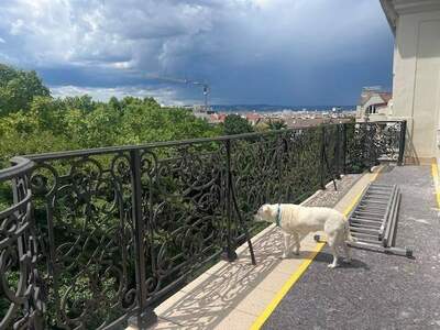 Gewerbeobjekt mieten in 1040 Wien