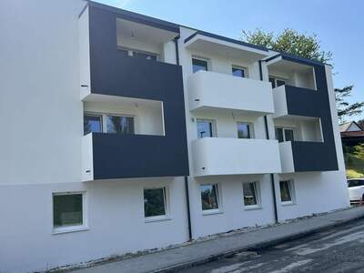 Anlageobjekt kaufen in 4651 Stadl (Bild 1)