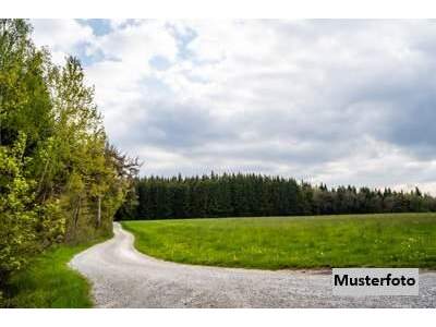 Gewerbeobjekt kaufen in 6700 Bludenz