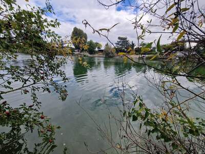 Grundstück mieten in 1220 Wien