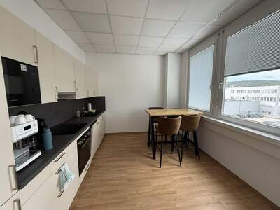 Büro / Praxis mieten in 2544 Leobersdorf (Bild 4)