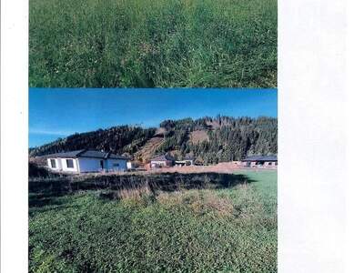 Grundstück kaufen in 8720 Sankt Margarethen