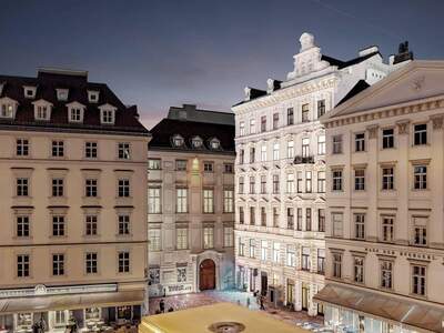 Wohnung kaufen in 1010 Wien