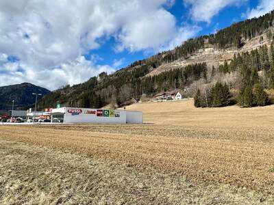 Gewerbeobjekt kaufen in 8850 Sankt Egidi (Bild 3)