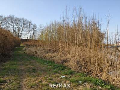 Grundstück kaufen in 4923 Kobernaußen