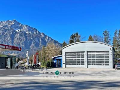 Halle / Lager / Produktion kaufen in 5081 Anif