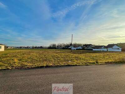 Grundstück kaufen in 4614 Marchtrenk (Bild 2)