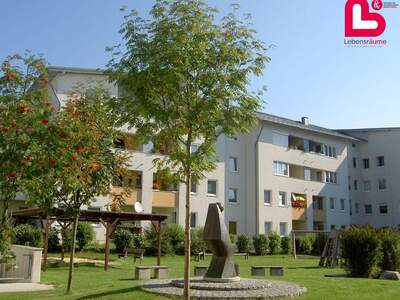 Wohnung mieten in 4210 Gallneukirchen (Bild 2)