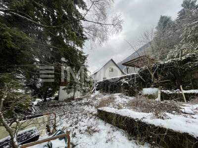 Grundstück kaufen in 2754 Waldegg (Bild 5)