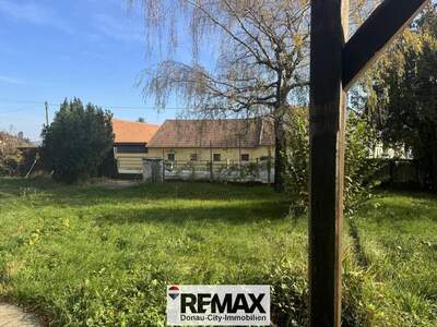 Grundstück kaufen in 3434 Katzelsdorf