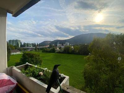 Eigentumswohnung in 8051 Graz (Bild 1)