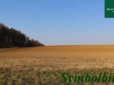 Grundstück kaufen in 9500 Villach