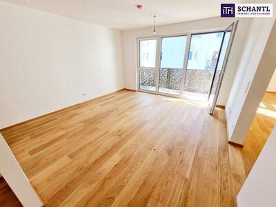 Terrassenwohnung kaufen in 1230 Wien (Bild 3)