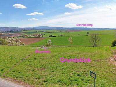 Grundstück kaufen in 3040 Neulengbach (Bild 2)