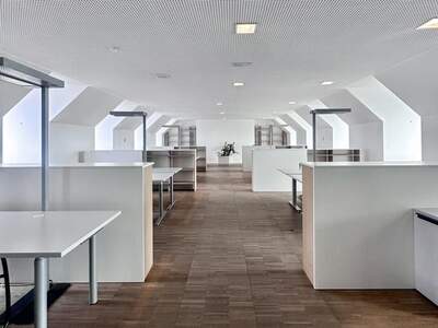 Gewerbeobjekt mieten in 4040 Linz (Bild 1)