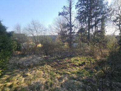 Grundstück kaufen in 8062 Kumberg (Bild 3)