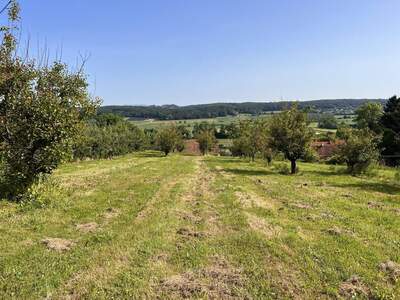 Gewerbeobjekt kaufen in 8262 Mutzenfeld