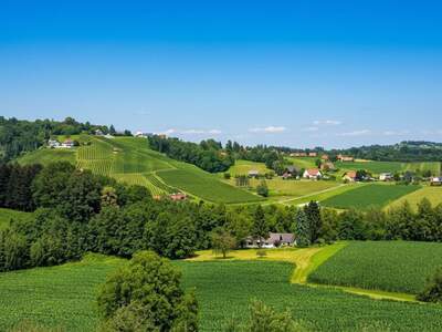 Haus kaufen in 8551 Wies (Bild 2)