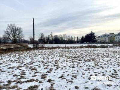 Grundstück kaufen in 4070 Pupping (Bild 2)